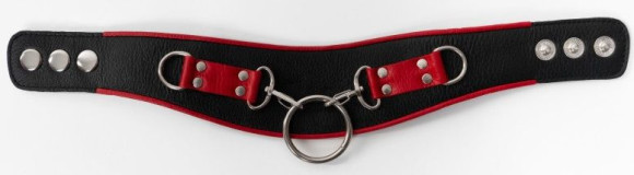 Черно-красный ошейник с колечками Черно-красный ошейник с колечками