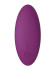 Фиолетовый клиторальный стимулятор Edeny с управлением через приложение
