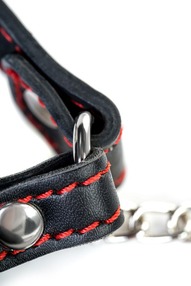 Черный кляп-трензель Theatre в виде косточки с зажимами для сосков Черный кляп-трензель Theatre в виде косточки с зажимами для сосков