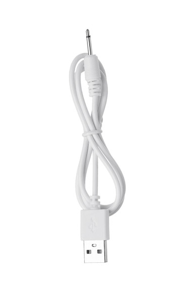 Розовый вибратор FLIRTY для ношения в трусиках Розовый вибратор FLIRTY для ношения в трусиках