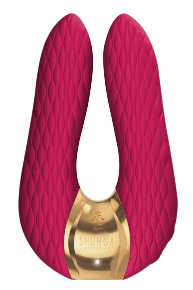 Малиновый двойной вибростимулятор AIKO с двумя моторами Малиновый двойной вибростимулятор AIKO с двумя моторами