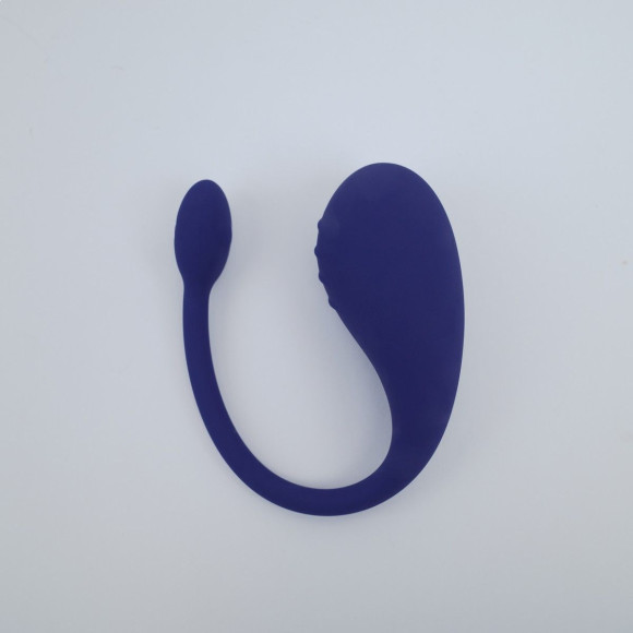 Синее виброяйцо Aurora Синее виброяйцо Aurora