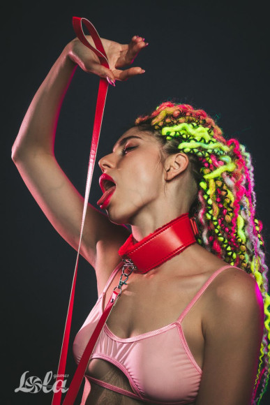 Красный ошейник Circus с поводком Красный ошейник Circus с поводком