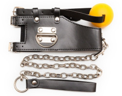 Кляп-шарик с поводком 